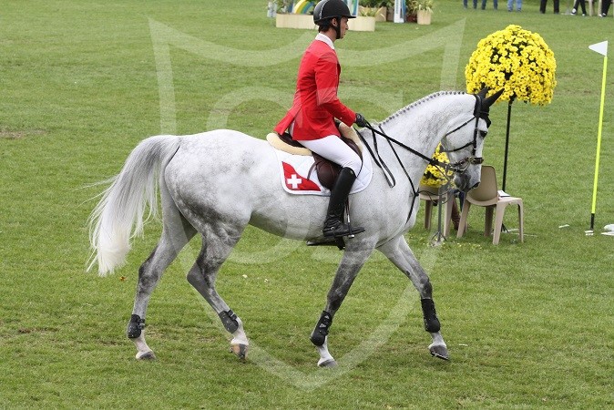 CSIO La Baule 2013