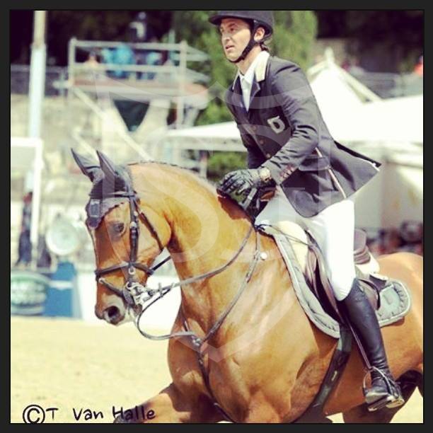 Nino des Buissonnets  au CSIO de Rome 2014 Copyright (C) T Van Halle