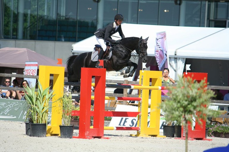 Kavalier II au CSI de Mons 2014 - copyright (C) l'Equimag