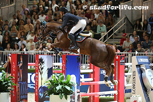 Albfuehren's Paille au CSI*5 de Los angeles 2014 - copyright (C) Tiff