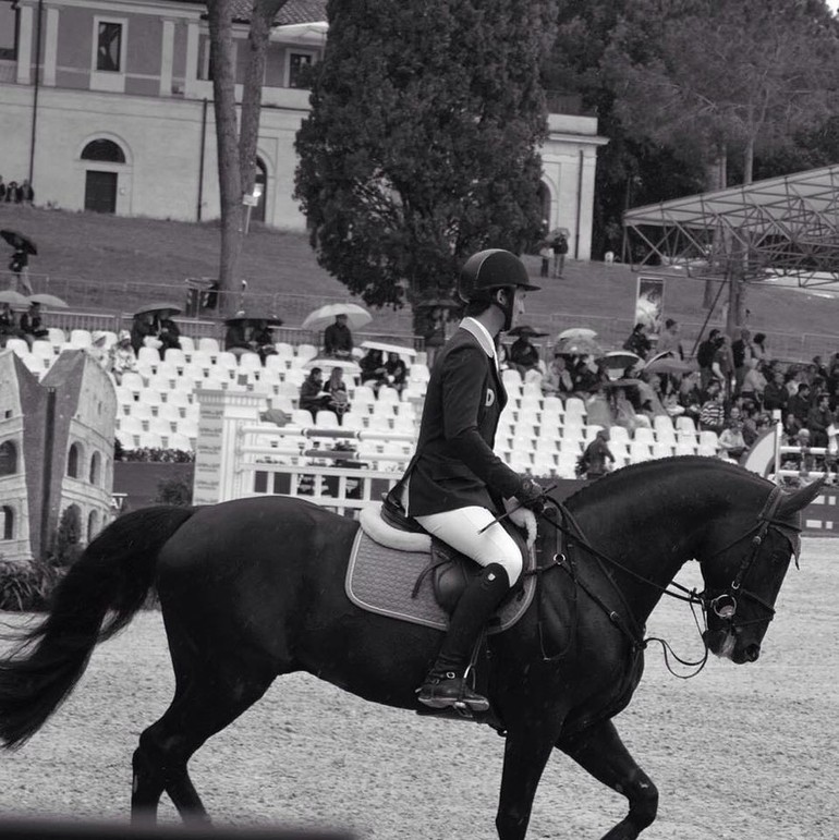 Kavalier au CSIO de Rome - (C) Copyright Lorella Casalatina