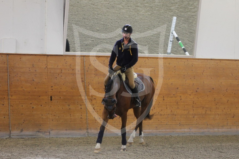 Présentation de Nino sous la selle de Steve lors d'une clinique de dressage