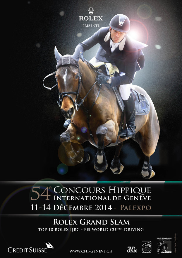 Affiche CHI Genève 2014 - Steve et Nino des Buissonnets