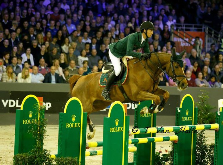 CSI5* Den Bosch Albfuhren's Paille de la Roque (C) Copyright T. Van Halle