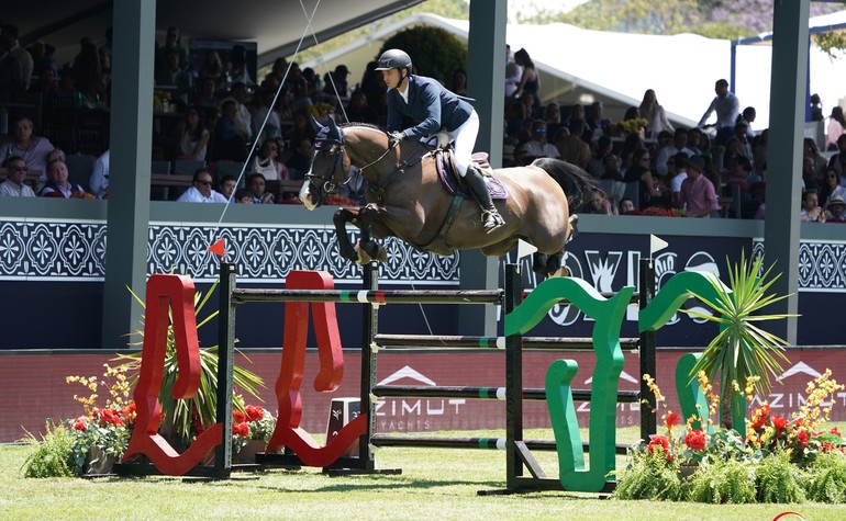 CSI5* Mexico City - Steve & Alamo - Copyright (c) Sportfot