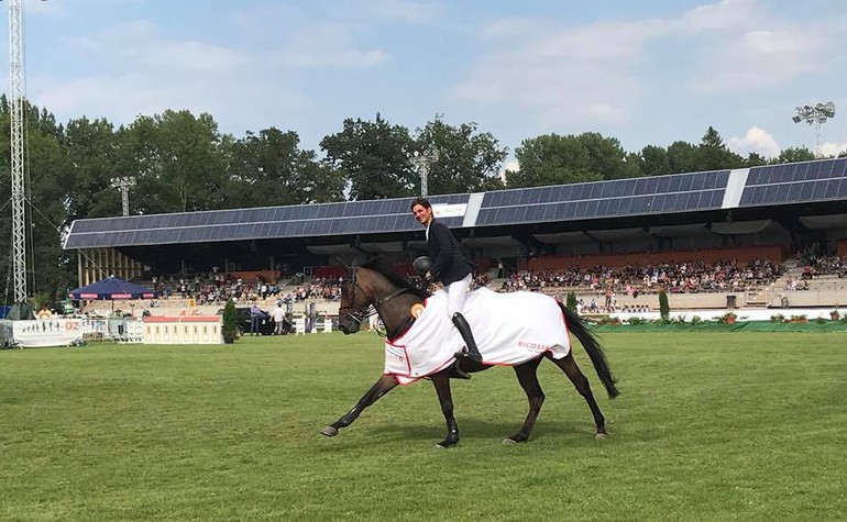 Zwei schöne Siege für Steve beim CSI3* Donaueschingen (GER)