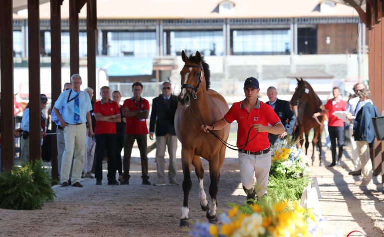 Jeux équestres mondiaux à Tryon, J-1 pour l’équipe de Suisse