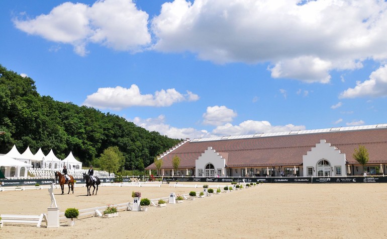 Show jumping from this Thursday on the Hofgut Albführen (GER)