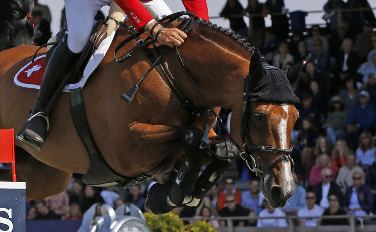CSIO Falsterbo (SWE): Die Schweiz auf Platz 2!