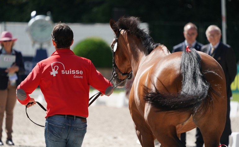 European Championships in Rotterdam: Day D-1 for the Swiss team!