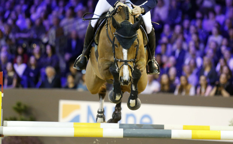 CSIW-5* Madrid: Gute Platzierungen für Steve!