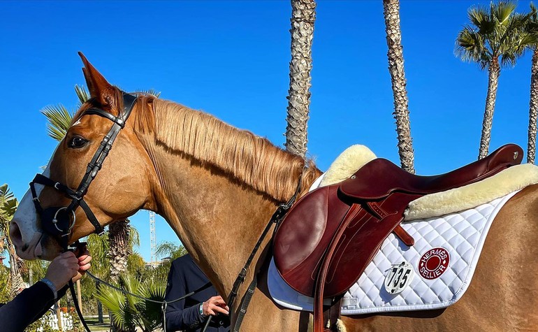 C’est parti pour le CSI*** de Vejer de la Frontera
