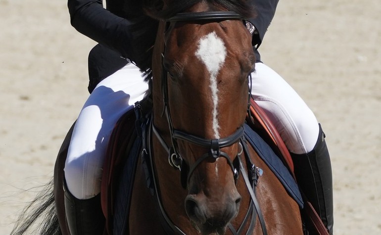 Double Jeu bon 8ème du CSIW5* de la Corogne
