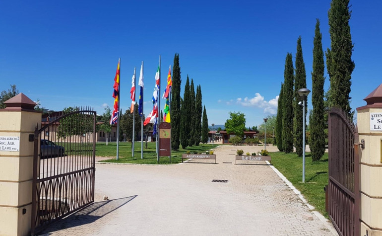 A BEAUTIFUL 4* IN MONTEFALCO