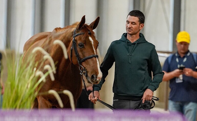 Vom Jungpferd zum internationalen Grand Prix: Albführens Iashin Sitte