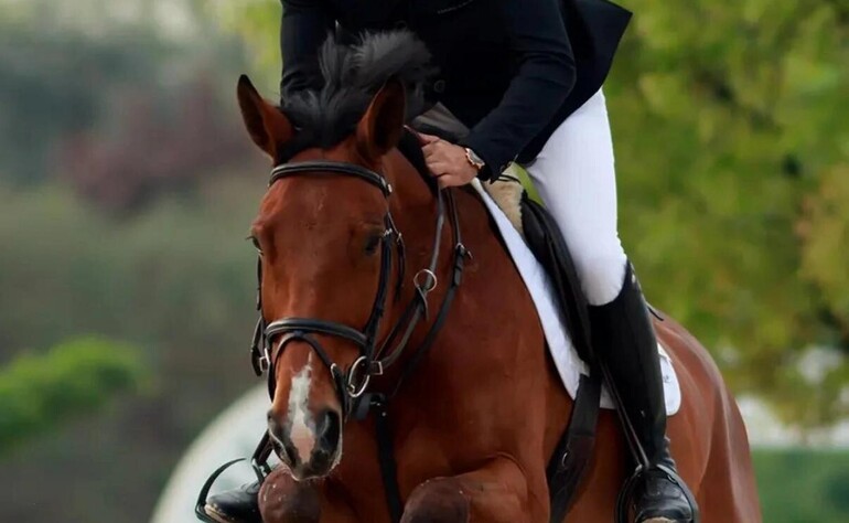 Hadj de Blinière Wins the CSI 2* Grand Prix of Gorla Minore