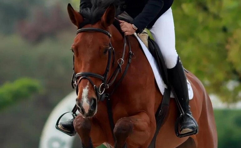 Hadj de Bliniere (9 ans) : Des débuts remarqués sur la scène 5*