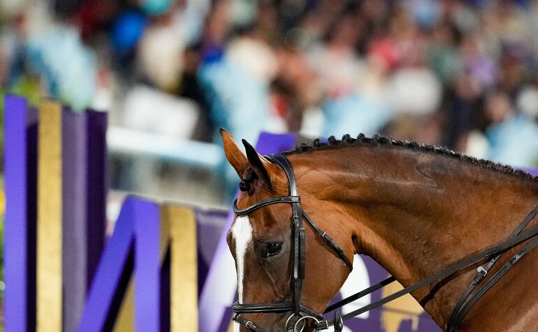 Copyright (C) Sportfot - Steve Guerdat & Dynamix de Bélhème