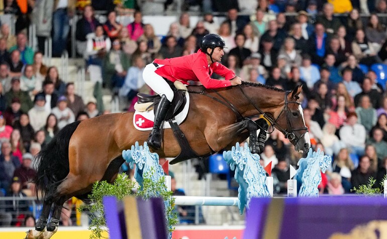 World Equestrian Games in Aachen: Steve leads the individual standings ahead of Sunday's final