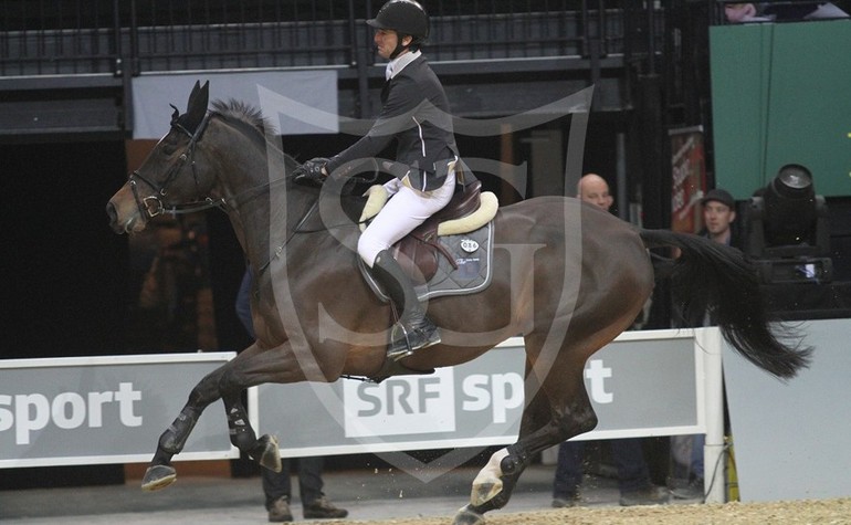 Steve & Carpalo - CSI 5* Zürich 2013