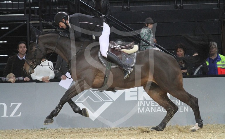 Steve & Carpalo - CSI 5* Zürich 2013