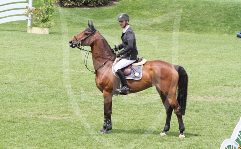 CSIO La Baule : Derby - Steve Guerdat & Sidney