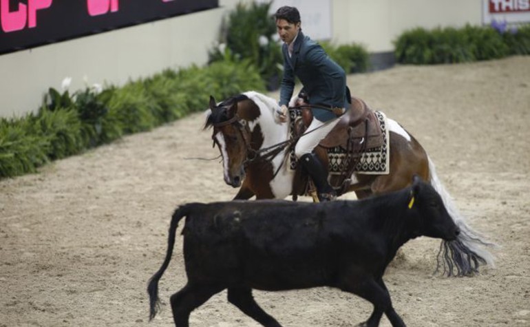 Show Weltcup Finale in Las Vegas 2015. Westernreiten mit Steve Guerdat (SUI). (Stefan Lafrentz/Valeria Streun)