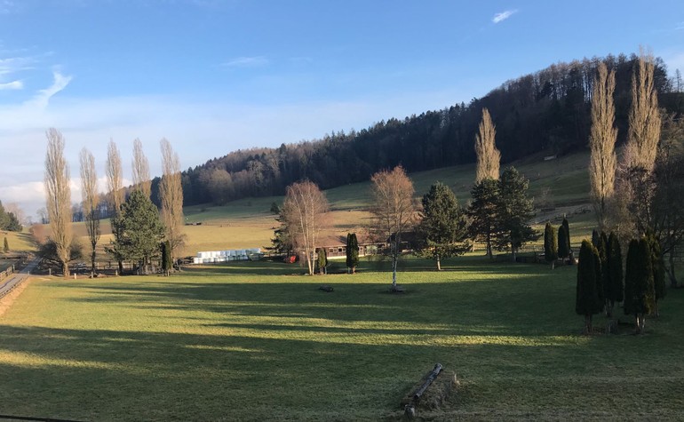 Vue sur le domaine