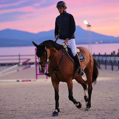  Bianca - en préparation pour les Jeux Equestres mondiaux