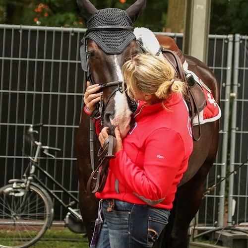 Alamo et Ema au CHIO de Rotterdam (C) Adèle Vaupré