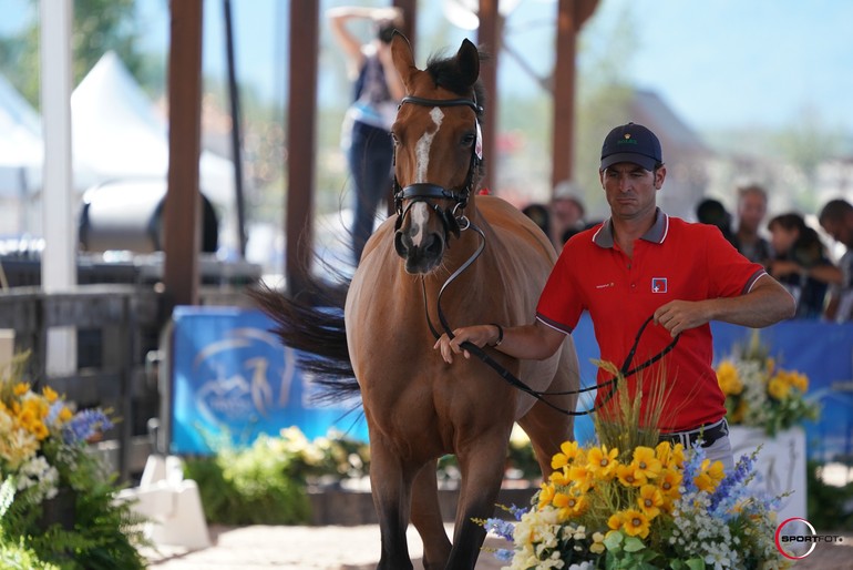 Tryon 2018 - Visite vétérinaire - (C) copyright Sportfot