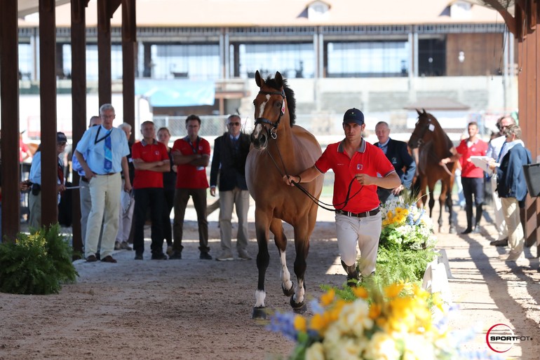 Tryon 2018 - Visite vétérinaire - (C) copyright Sportfot