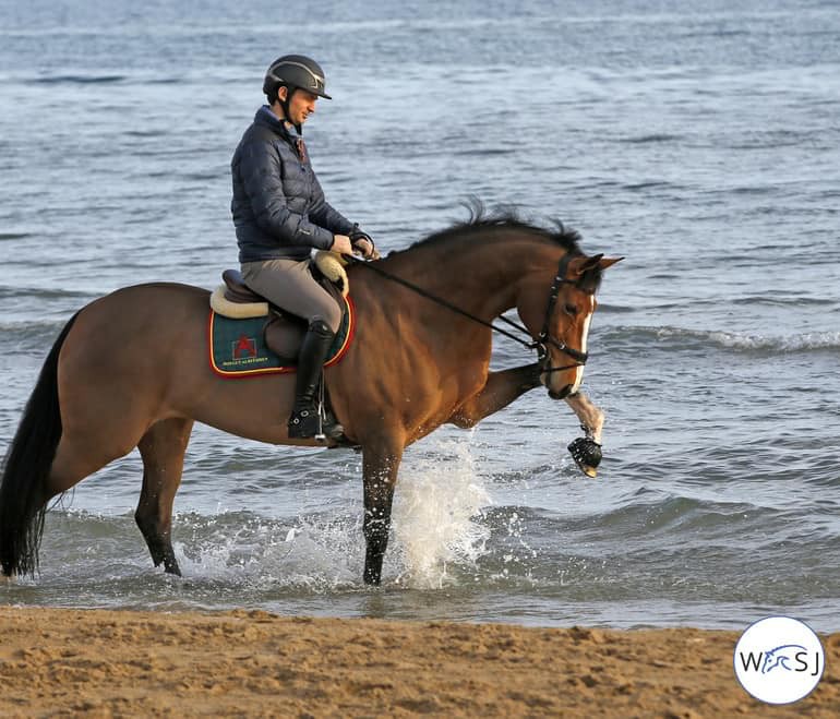 Princesse Albführen's Bianca (C) worldofshowjumping