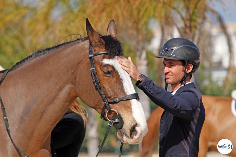 Ulysse des Forêts s'est imposée dans la qualificative du GP (C).worldofshowjumping