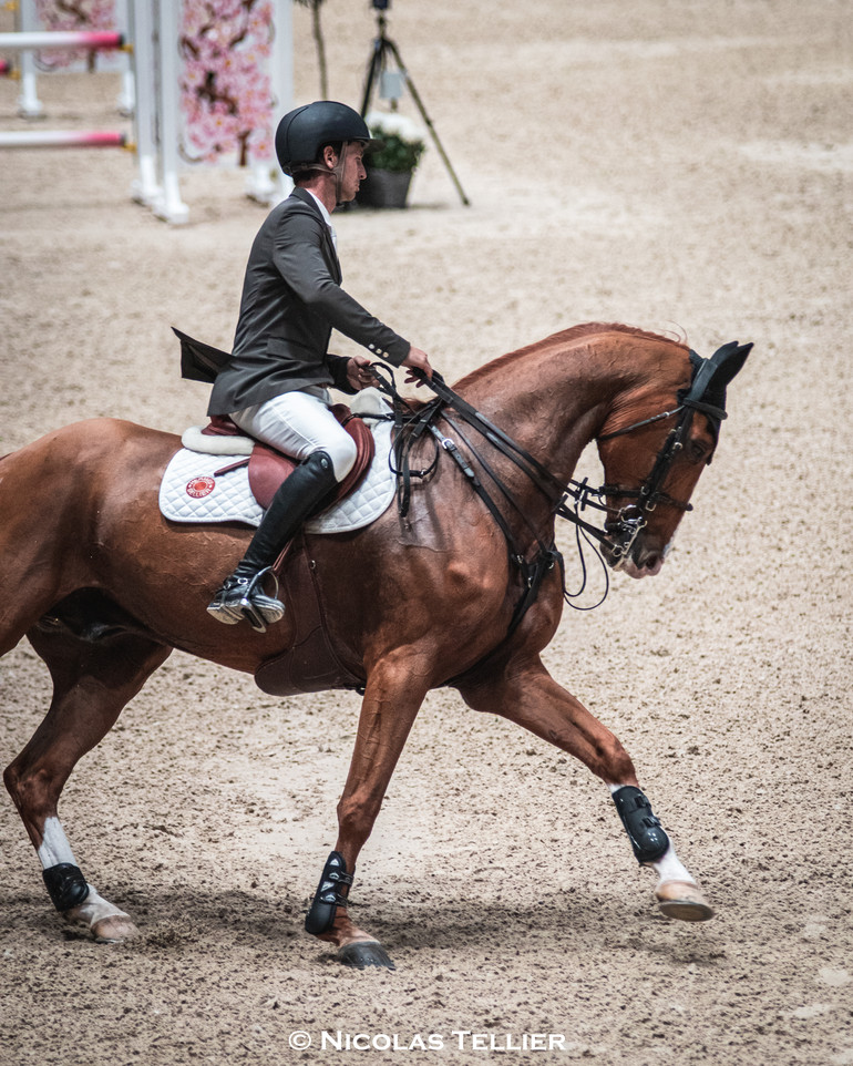 CSIW5* Lyon - Victorio des Frotards (C) Nicolas Tellier