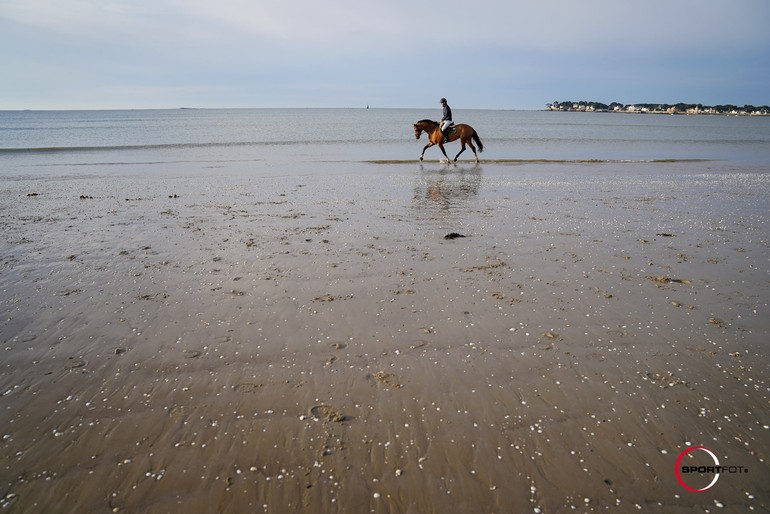 CSIO de France La Baule - Détente sur la plage (C) Sportfot