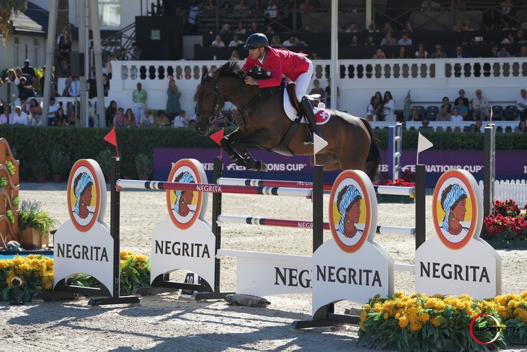 CSIO5* Barcelone - Steve et Venard de Cerisy ont réussi un magnifique sans-faute Copyright Sportfot