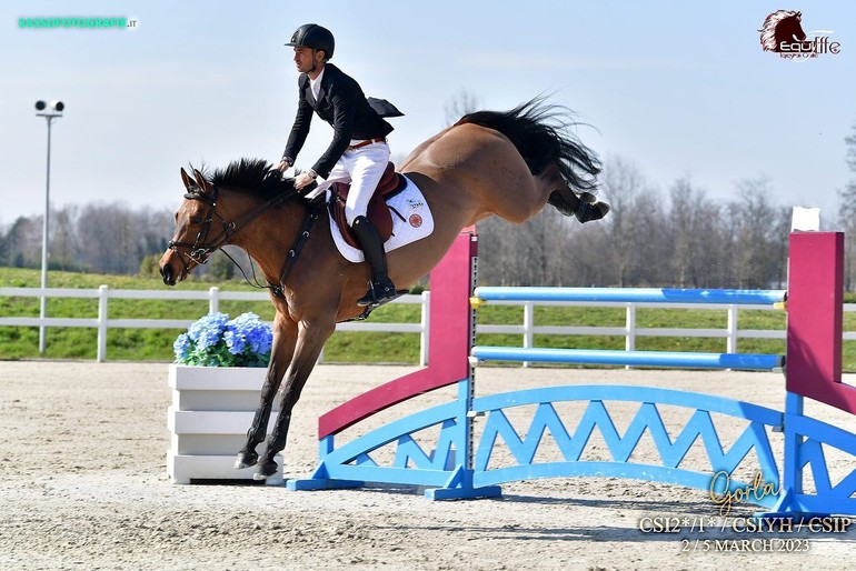 CSI2* Gorla Minore - Hubba Bubba (C) Equieffe Equestrian Centre_Sassophotografie