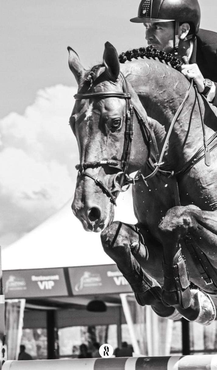 CSI4* Bourg-en-Bresse - Easy Star de Talma (source instagram)