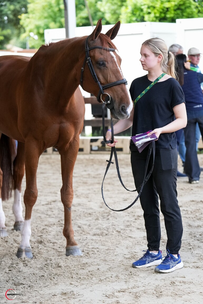 CSIO5* Rome 2025_ Albfuehrens Iashin Sitte (C) Sportfot