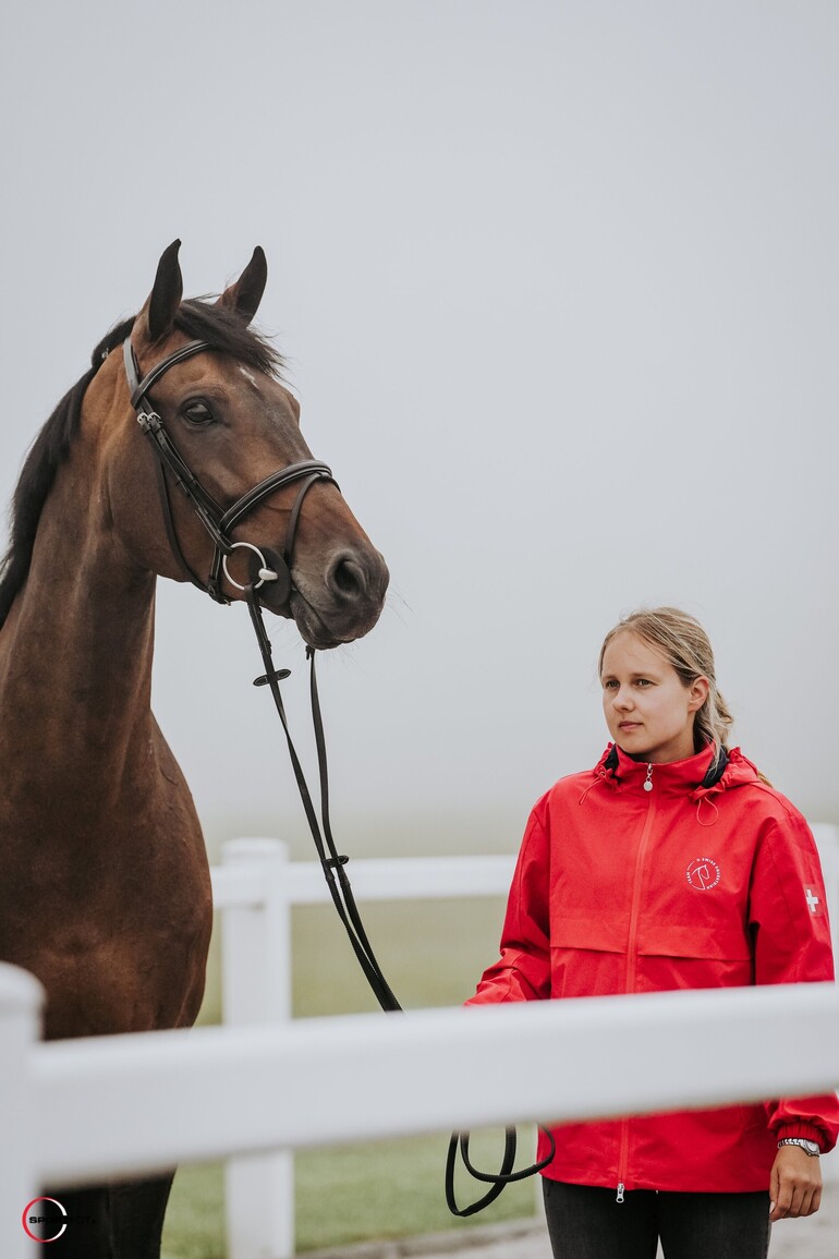 Lancelotta, Steve Guerdat; Sportfot
