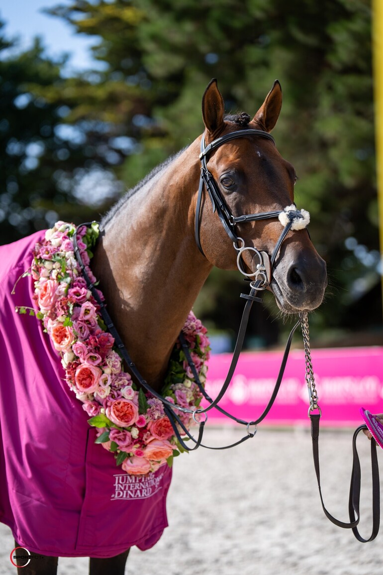 Easy Star de Talma, s'offre le mythique Derby Saur de Dinard (C) Sportfot