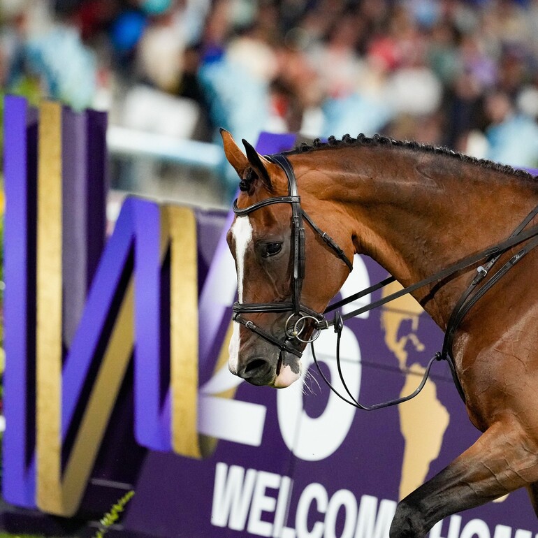 Merci princesse Dynamix et à bientôt pour de nouvelles aventures.(C) sportfot