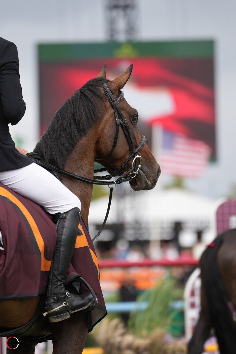 Deuxième victoire internationale pour Hadj de Blinière et Steve (C) sportfot