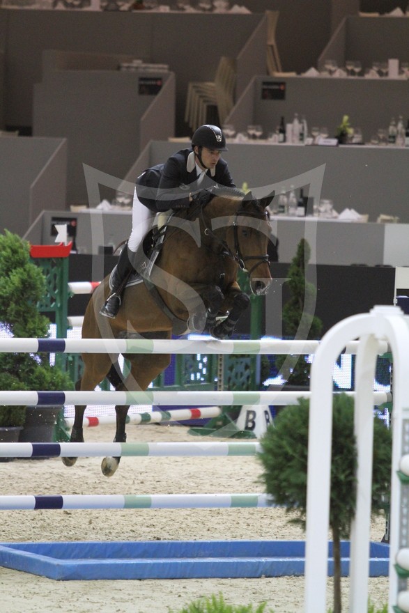 Equita'Lyon 2013