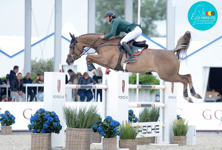 Albführen's Happiness au CSI5* de Knokke - copyright (C) Equenews.org