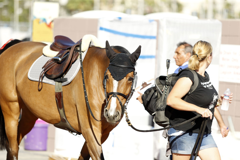 Bianca au CSI5* de Los Angeles - copyright (C) Tifvanhalle