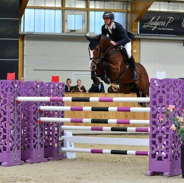 Diolenn au CSI2* de Riesenbrck (C) CSI2* Riesenbeck