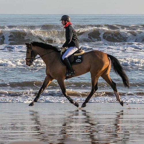 Trotting sur la plage - copyright (C) Mediterranean Tour