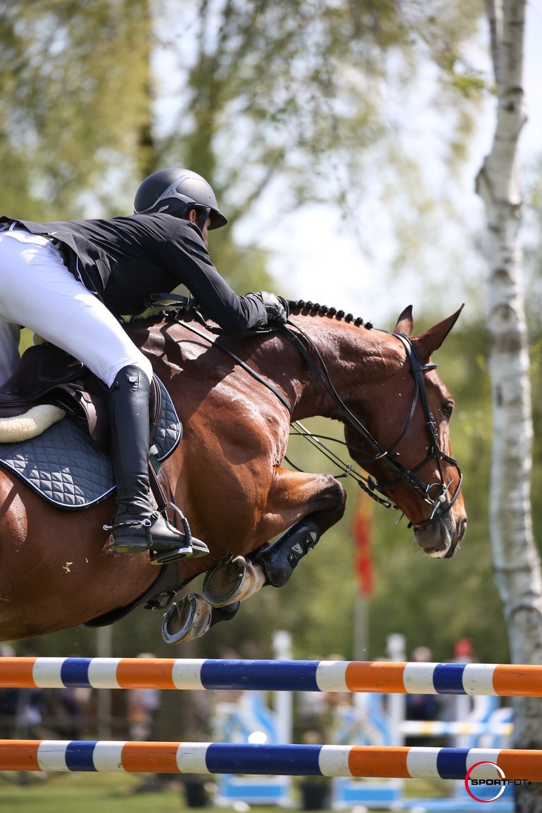 Hannah - CSIO Lummen copyright (C) sportfot